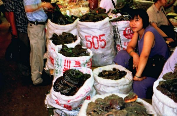 Chinese Vendor, Quingping Medical Market, Guangzhou